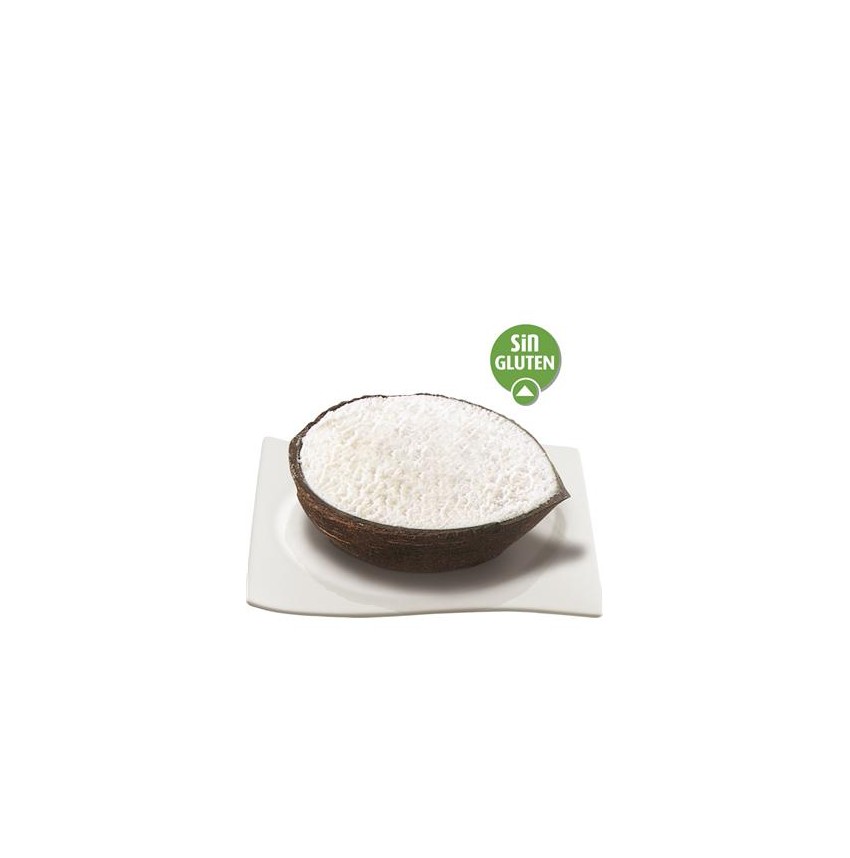 COCO HELADO. 6 Uds.