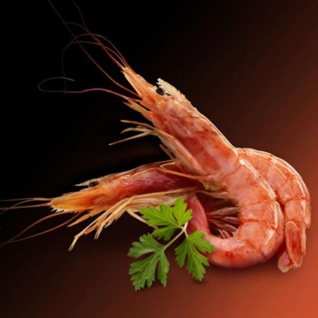 GAMBÒN CRUDO 800 GRS.